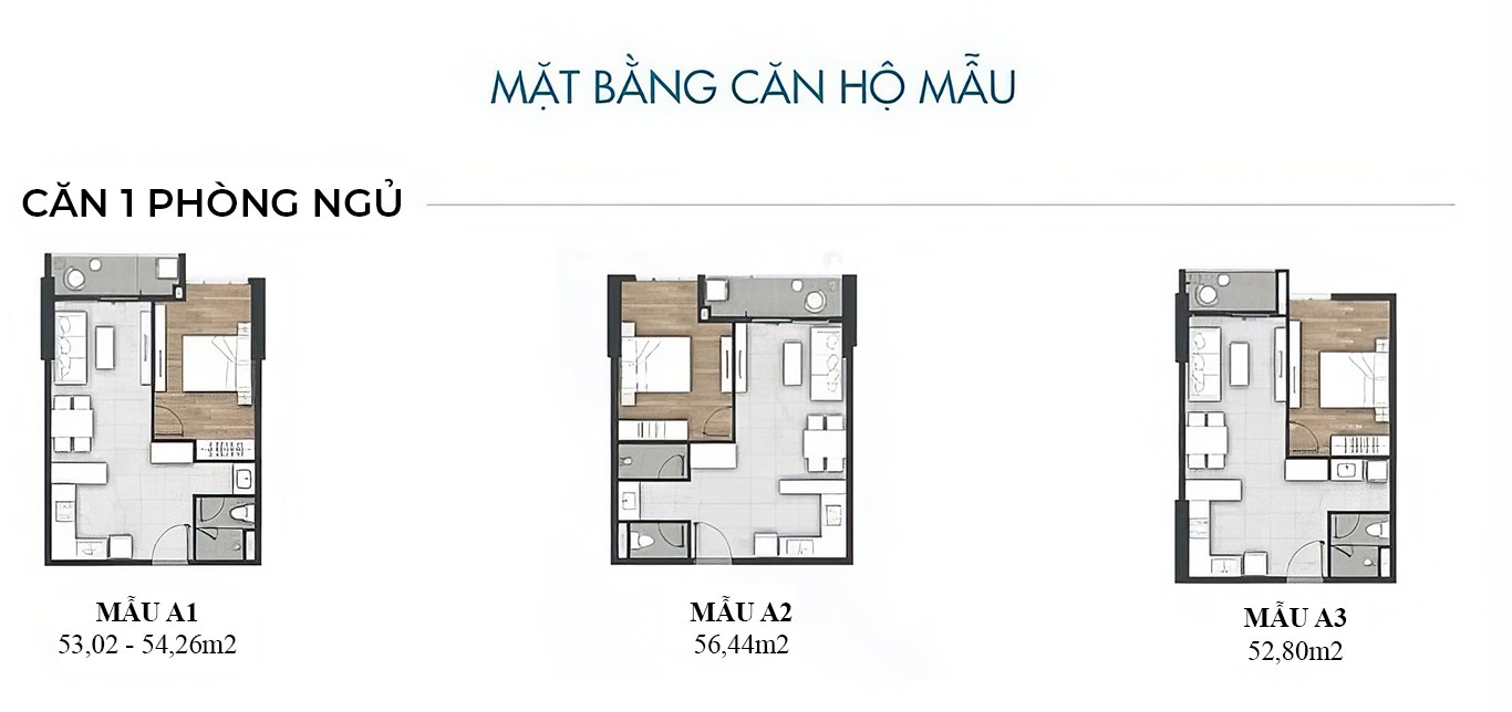 Cơ hội cho thuê căn hộ 1 phòng ngủ giá rẻ