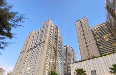 Giá Bán Căn Hộ Vũng Tàu Pearl Có Đang Cao So Với Thị Trường? Năm 2025